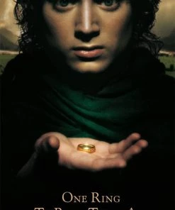 Trends International Lord Of The Rings - Fellowship Collector's Edition Poster Movies