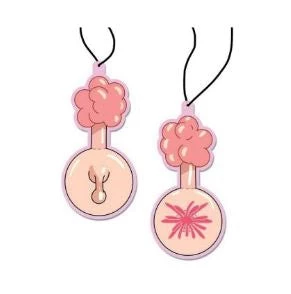 JUST FUNKY Rick And Morty Dipping Sauce Air Freshener 3 JUST FUNKY Rick And Morty Dipping Sauce Air Freshener