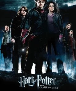 Trends International Harry Potter - Goblet Group Wall Poster