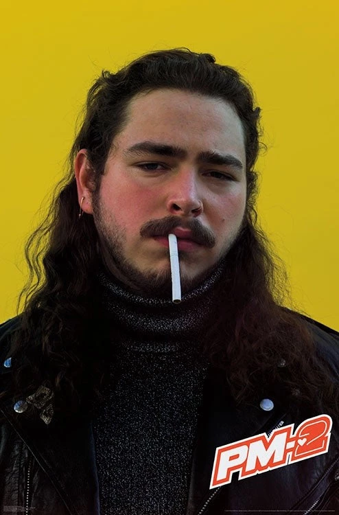 Trends International Post Malone - Smoke Wall Poster Music 3 Trends International Post Malone - Smoke Wall Poster Music