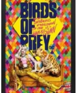 Sign Of The Times Harley Quinn Birds Of Prey 11x17-1.25" Crystex Framed Art