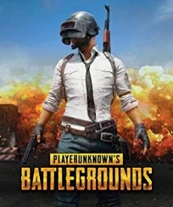 Trends International Video Games Playerunknown's Battlegrounds (PUBG) Landspace Poster