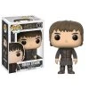 Funko Pop Game Of Thrones: GOT - Bran Toy Figure Funko Pops!