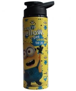 Movies Silver Buffalo Universal Despicable Me Stainless Steel Water Bottle, 25-Ounces