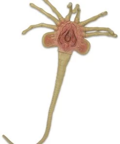 NECA Aliens – Foam Prop Replica – Life-Size Facehugger Movies