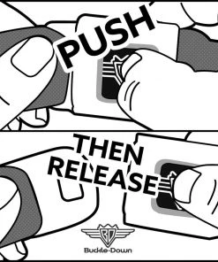 Buckle-Down Disney Cheshire Cat Seatbelt Buckle Belt