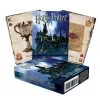 NMR Harry Potter - Playing Cards