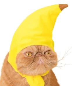 Surreal Entertainment Kitan Club Cat Cap Blind Box - Fruit