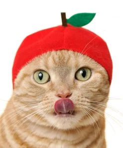 Surreal Entertainment Kitan Club Cat Cap Blind Box - Fruit