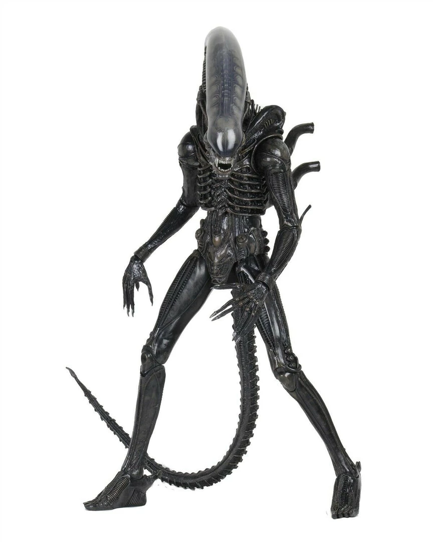 NECA Alien And Predator Alien 1/4 Scale Figure 40th Anniversary Big Chap 3 NECA Alien And Predator Alien 1/4 Scale Figure 40th Anniversary Big Chap
