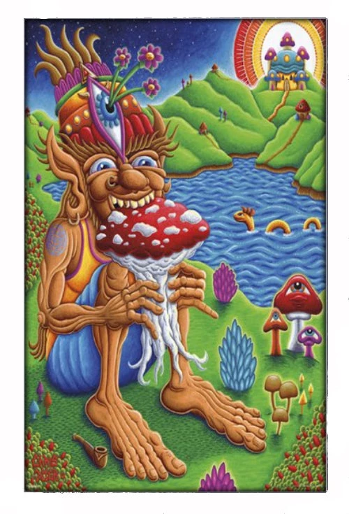 Pyramid America Home Decor & Posters Chris Dyer Mushroomland Framed Print Overall Wall Art 3 Pyramid America Home Decor & Posters Chris Dyer Mushroomland Framed Print Overall Wall Art