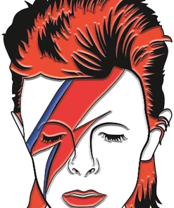NMR David Bowie Aladdin Sane Enamel Collector Pin Music