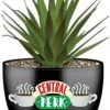 Silver Buffalo Friends Central Perk Logo Ceramic Planter 2 Silver Buffalo Friends Central Perk Logo Ceramic Planter