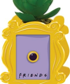 Silver Buffalo Friends Frame Peephole Ceramic Planter