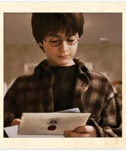 Bioworld Movies Harry Potter Red Stripped T-Shirt