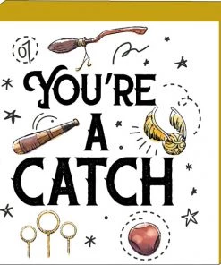 Silver Buffalo Harry Potter- Quite A Catch Quiditch 6in X 6in X 1.5in Box Wall Sign