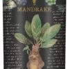 Silver Buffalo Happy Potter - Mandrake Floral 20oz Plastic Tall Cold Cup W/ Straw