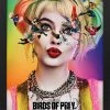 Pyramid America Harley Quinn - BOP-Birds 11x17 Print Framed