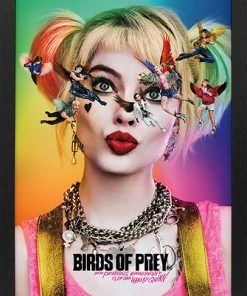 Pyramid America Harley Quinn - BOP-Birds 11x17 Print Framed