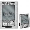 Silver Buffalo Harry Potter Have You Seen This Wizard 4in X 6in 3-D Mdf Photo Frame
