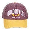 Bioworld Harry Potter Quidditch Pigment Dye Dad Hat 1 Bioworld Harry Potter Quidditch Pigment Dye Dad Hat