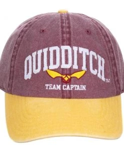 Bioworld Harry Potter Quidditch Pigment Dye Dad Hat