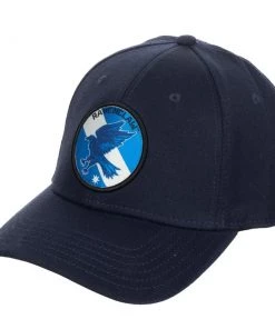 Bioworld Harry Potter Ravenclaw Flex Fit Hat Movies