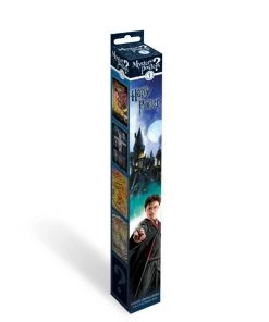 Trends International Mystery Poster - Harry Potter