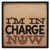 Open Road Brands Disney Star Wars Rustic Pencil Thin Hallow Frame Wall Art - Im In Charge Now