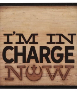 Open Road Brands Disney Star Wars Rustic Pencil Thin Hallow Frame Wall Art - Im In Charge Now