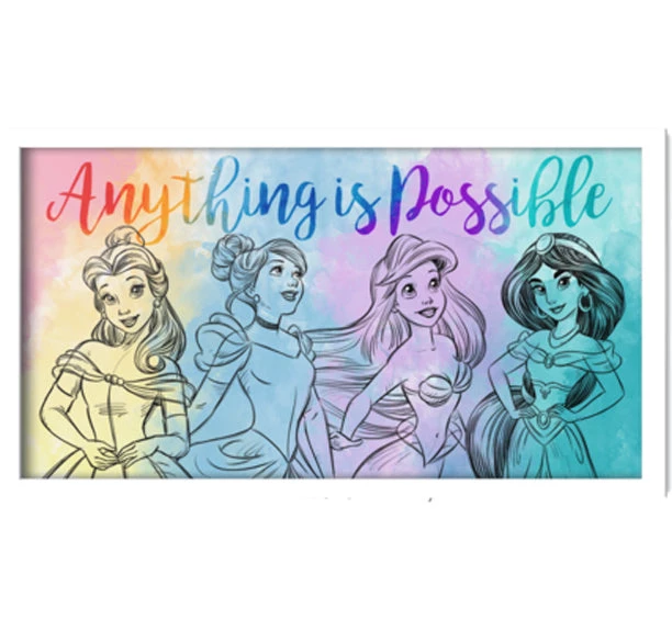 Silver Buffalo Disney Princess Anything Is Possible Watercolor Framed Gel Coat MDF Wall Art 3 Silver Buffalo Disney Princess Anything Is Possible Watercolor Framed Gel Coat MDF Wall Art