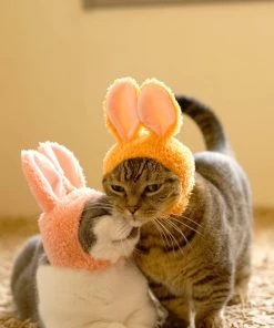 Clever Idiots Inc. Kitan Club Cat Cap Blind Box - Rabbit 14 Clever Idiots Inc. Kitan Club Cat Cap Blind Box - Rabbit