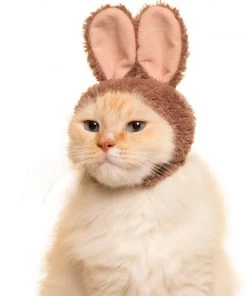 Clever Idiots Inc. Kitan Club Cat Cap Blind Box - Rabbit