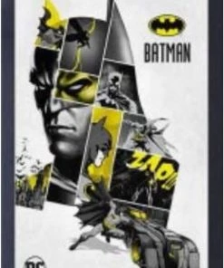 Sign Of The Times Batman Collage 11x17-1.25" Crystex Framed Art