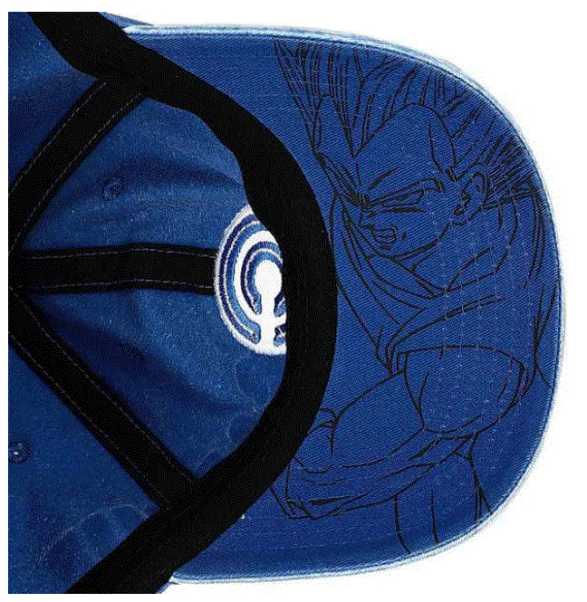 Bioworld Dragon Ball Z Capsule Corp. Side Art Pigment Dye Hat 8 Bioworld Dragon Ball Z Capsule Corp. Side Art Pigment Dye Hat