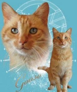 Impact Marvel - Captain Marvel - Goose The Cat Adult Fitted Jersey T-shirt