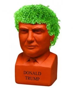 NECA Donald Trump Chia Pet Home Decor & Posters