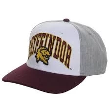 Bioworld Harry Potter Gryffindor Pre-Curved Snapback Movies