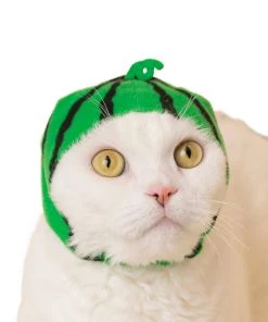 Surreal Entertainment Kitan Club Cat Cap Blind Box - Fruit