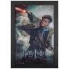 Pyramid America Harry Potter Framed Poster 11x15 Movies