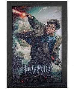 Pyramid America Harry Potter Framed Poster 11x15 Movies