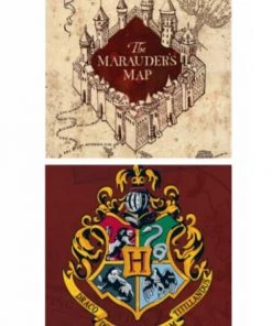 Pyramid America Harry Potter - Map & Crest Movies