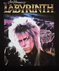 Ripple Junction Movies Jim Henson's Labyrinth - Crystal Ball Adult Fitted T-Shirt - Black