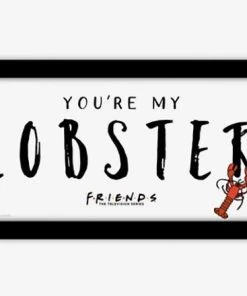 Silver Buffalo Friends You're My Lobster 10''x 18'' Framed Gel Coat MDF Wall Art