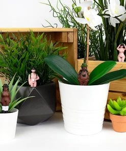 Gift Republic Naked Ramblers Novelty Mini Plant Pot Home Decor & Posters