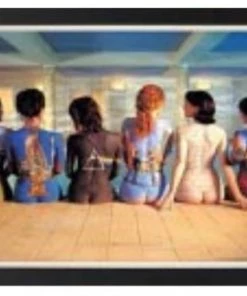 Sign Of The Times Music Pink Floyd - Back Collage 11x17-1.25" Crystex Framed Art