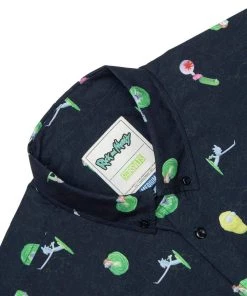 RSVLTS Anime Rick And Morty