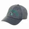 Bioworld Harry Potter Slytherin Mens Grey Snapback Hat Movies