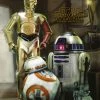Trends International Star Wars - C3PO RDD2 BB8 "Robots" Poster