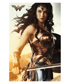 Trends International Wonder Woman Figure With Shield Poster DC Comics